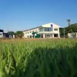 Youth Football Home
